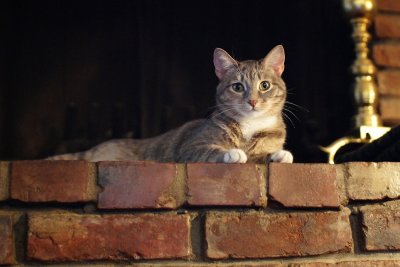 On the fireplace