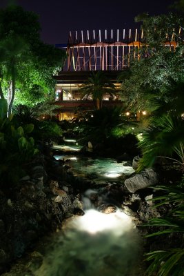 Polynesian stream