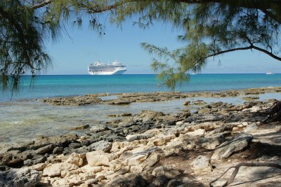 Ship from the shade trees and reef