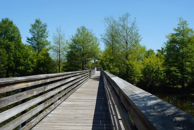 Green Cay boardwalk