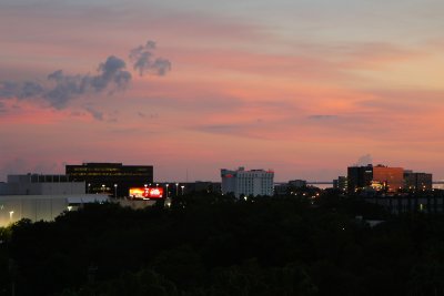 Tampa sunset