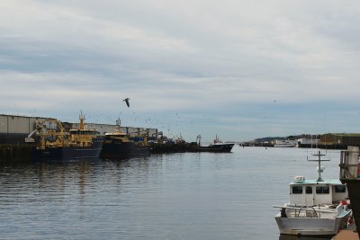 Gloucester harbor