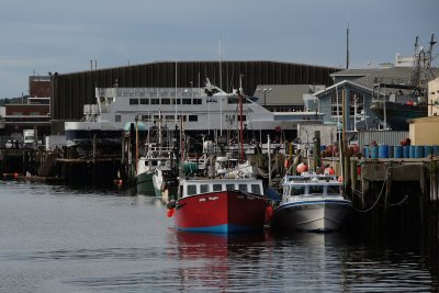 Gloucester harbor