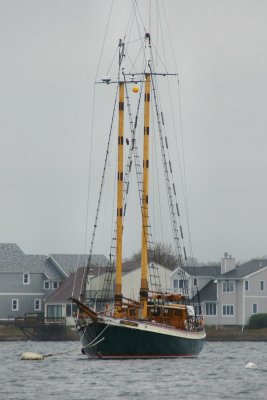 Newport sailing vessel in the rain