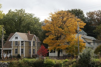 Homes on Wentworth Park