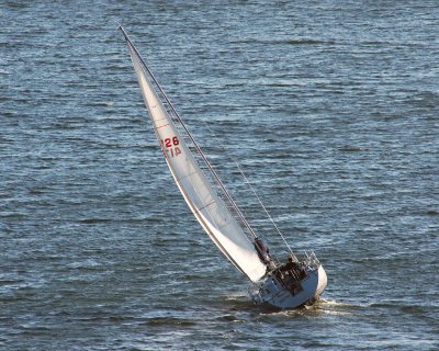 Sailboat catching the Cape Breton winds