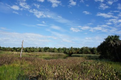 Green Cay Wetlands