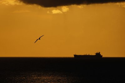 Frigatebird, ship, and sunset in Aruba