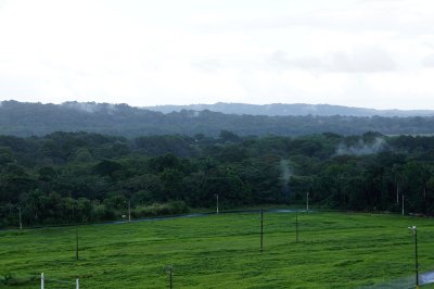 Steamy rainforest in Panama