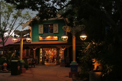 Animal Kingdom store at dusk