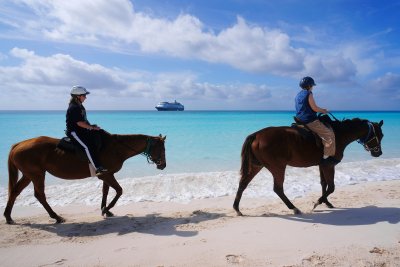 Horses on Half Moon Cay, and Ryndam
