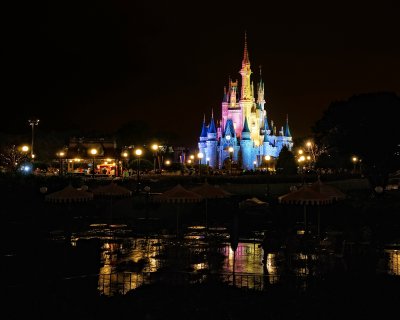 Cinderella's castle and wet sidewalks, night
