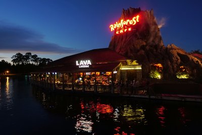 Rainforest Cafe night