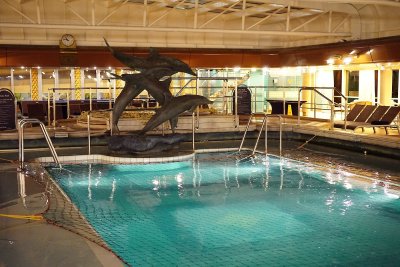 Westerdam central pool