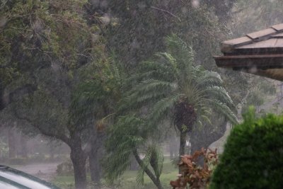 Hurricane Irma winds and rain whipping