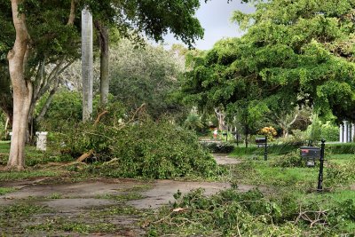 Roads in the neighborhood almost impassable