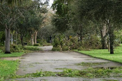 More debris down another road