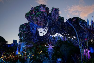Pandora scenery - night