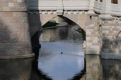 Duck passing under castle entrance bridge