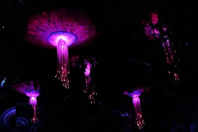 Floating neon jellyfish in the air in Pandora