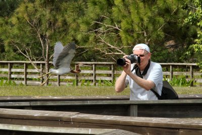 Photographer getting close to wildlife