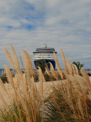 Scenic Zuiderdam shot at Grand Turk