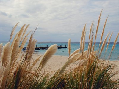 Small pier and sea grasses at Grand Turk
