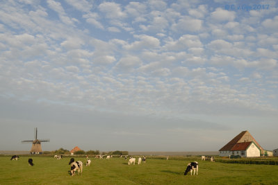 Hargermolen