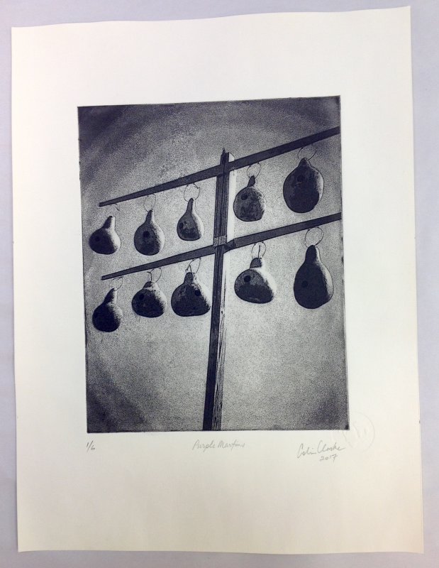 Polymer Photogravure  - 8x10 inches on 12x16 paper