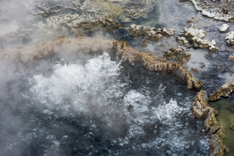 Yellowstone NP 20180124_1605.jpg