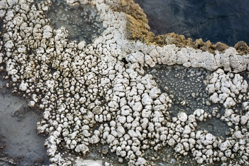 Yellowstone NP 20180124_1606.jpg