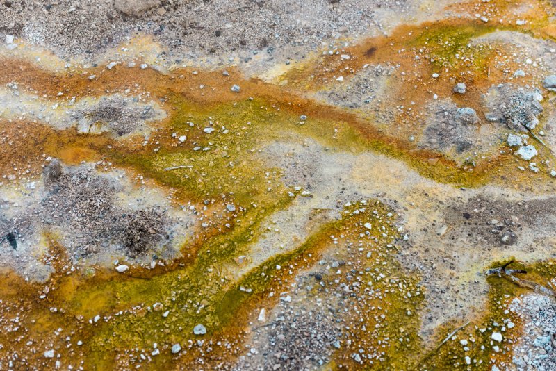 Yellowstone NP 20180124_1610.jpg