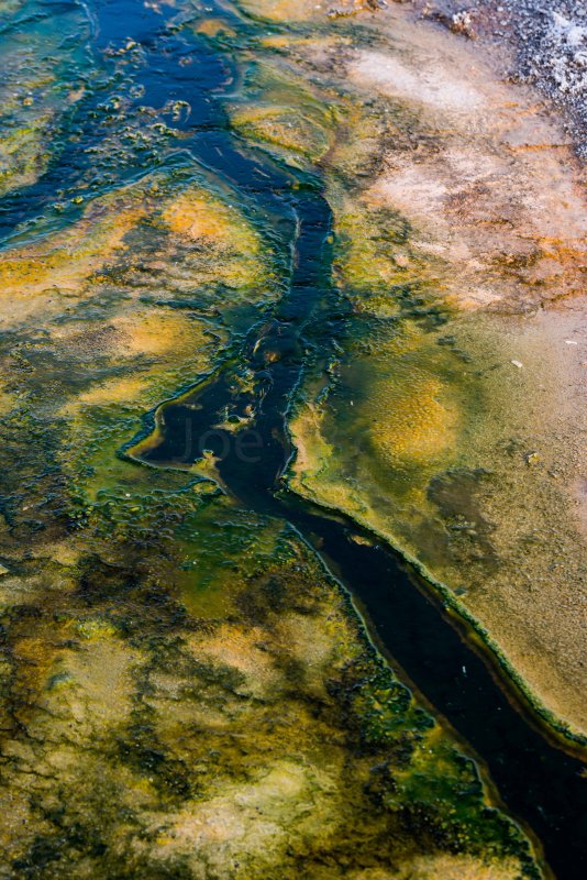 Yellowstone NP 20180124_1630.jpg
