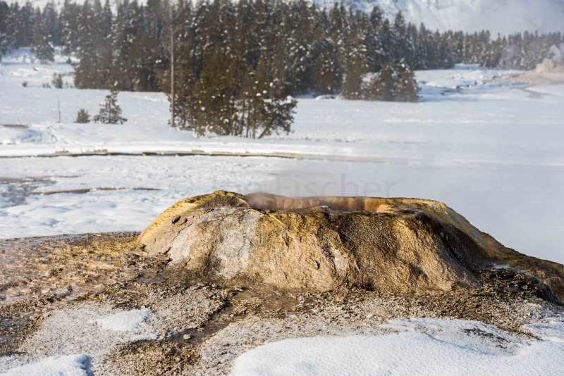 Yellowstone NP 20180124_1631.jpg