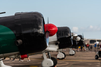 Wings over Houston 20171021_0081.jpg