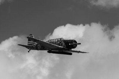 Wings over Houston 20171021_1768-Edit.jpg