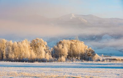 Bozeman Montana 20180116_0004.jpg