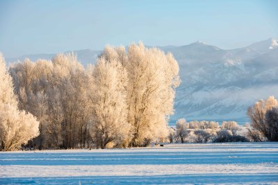 Bozeman Montana 20180116_0009.jpg