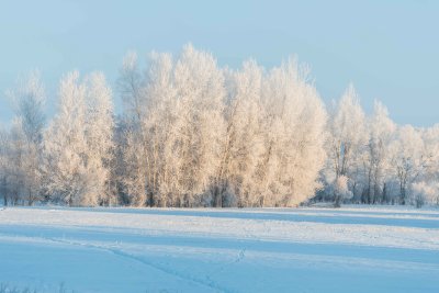 Bozeman Montana 20180116_0010.jpg