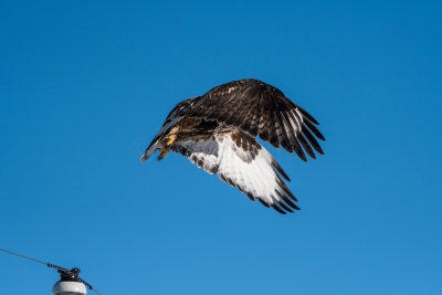 Bozeman Montana 20180116_0195.jpg