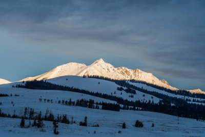 Yellowstone NP 20180117_0114.jpg