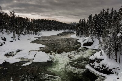 Yellowstone NP 20180117_0126.jpg