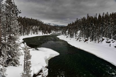 Yellowstone NP 20180117_0129.jpg