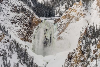 Yellowstone NP 20180117_0140.jpg