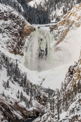 Yellowstone NP 20180117_0141.jpg