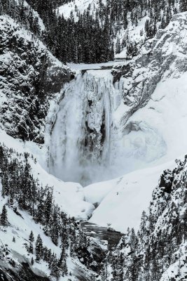 Yellowstone NP 20180117_0147.jpg