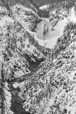 Yellowstone NP 20180117_0152-Edit.jpg