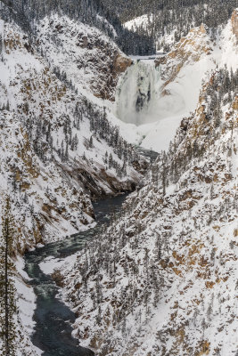 Yellowstone NP 20180117_0152.jpg