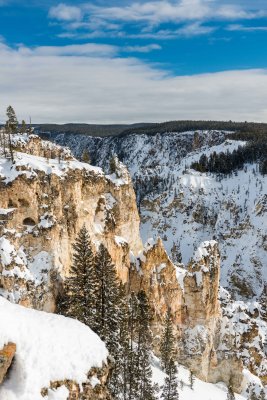 Yellowstone NP 20180117_0169.jpg