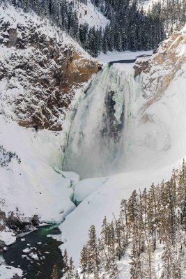 Yellowstone NP 20180117_0177.jpg
